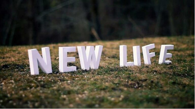 New Life!