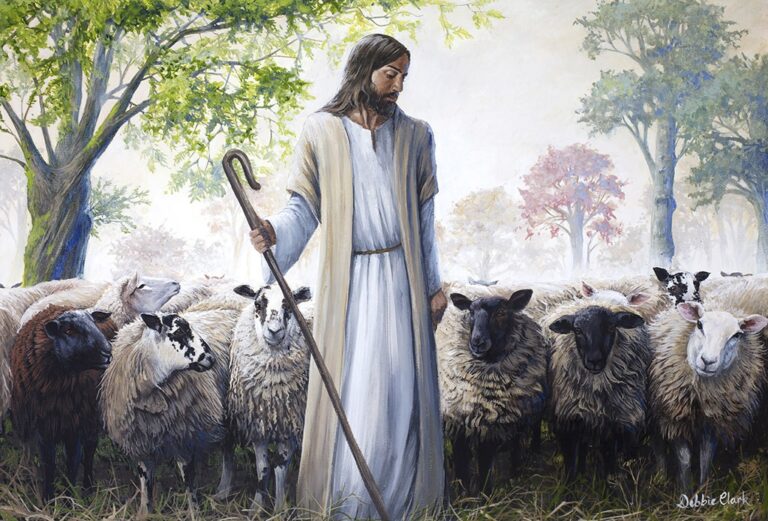 The Good Shepherd!