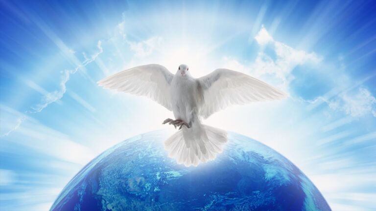 The Spirit and the World!