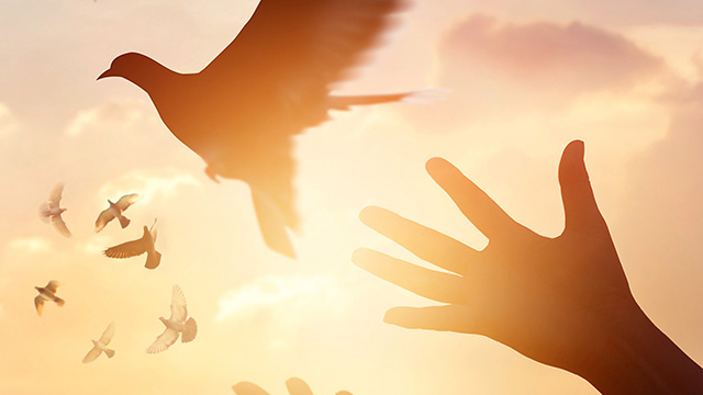 Making Our Vocation Count!